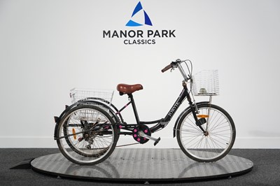 Lot Jorvik Trike