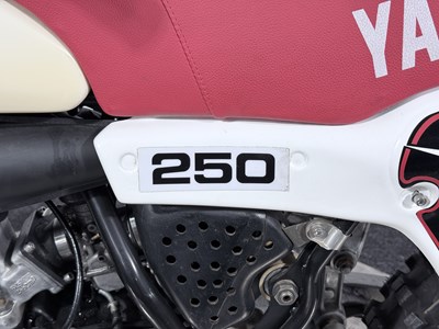 Lot 16 - 1982 Yamaha YZ250J